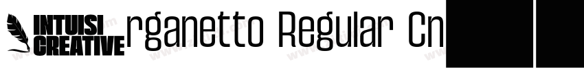 Organetto Regular Cn字体转换